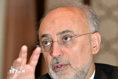 Giám đốc Tổ chức Năng lượng Nguyên tử Iran Ali Akbar Salehi. (Nguồn: Kyodo/TTXVN)
