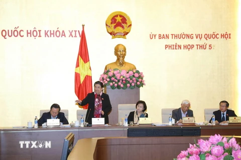 Phó Chủ tịch Quốc hội Tòng Thị Phóng phát biểu ý kiến. (Ảnh: Doãn Tấn/TTXVN)
