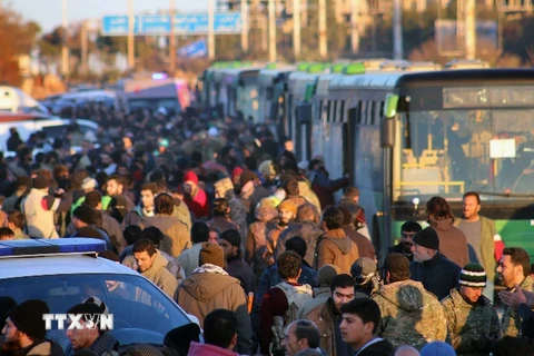 Đoàn đưa người dân sơ tán khỏi miền đông Aleppo ngày 15/12. (Nguồn: AP/TTXVN)