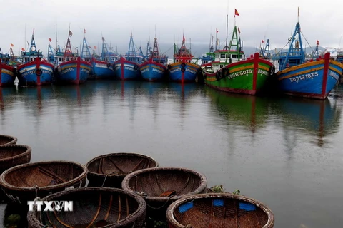 Tàu thuyền đang neo đậu tránh trú bão tại âu thuyền Đống Đa, Quy Nhơn, Bình Định. (Ảnh: Viết Ý/TTXVN)