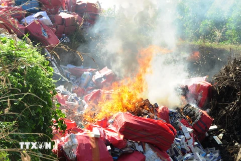 Thuốc lá được tập trung tiêu hủy tại bãi rác Tân Hưng, huyện Tân Châu. (Ảnh: Lê Đức Hoảnh/TTXVN)