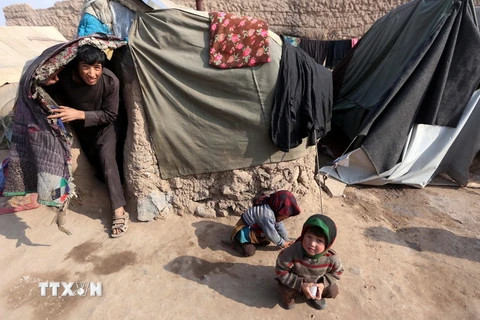 Người dân Afghanistan mất nhà cửa trong các cuộc xung đột sống trong những khu lều tạm ở tỉnh Herat ngày 19/1.(Nguồn: EPA/TTXVN)