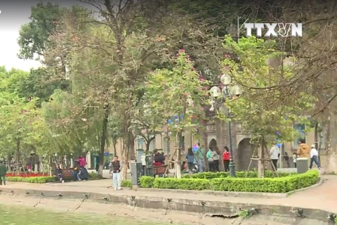 [Video] Xây dựng "đại lộ danh vọng" tại Hà Nội - nên hay không?