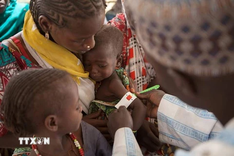 Nhân viên y tế khám chữa bệnh cho trẻ em bị suy dinh dưỡng ở Dikwa, Nigeria. (Nguồn: AFP/TTXVN)