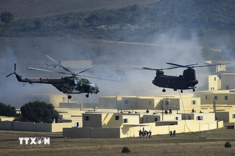 Trực thăng vận tải Mil Mi-17. (Nguồn: AFP/TTXVN)