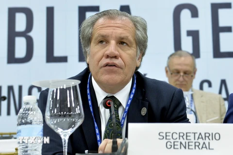 Tổng thư ký OAS Luis Almagro. (Nguồn: THX/TTXVN)