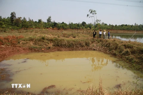 Những hố nước tưới càphê ở Gia Lai rất dễ xảy ra các vụ đuối nước thương tâm. (Ảnh: Nguyễn Hoài Nam/TTXVN)