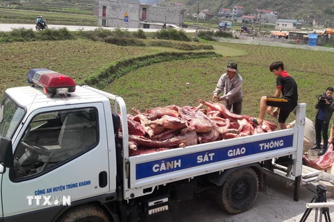 Lực lượng chức năng chở số thịt lợn không đảm bảo an toàn đi tiêu hủy. (Ảnh: Quốc Đạt/TTXVN)