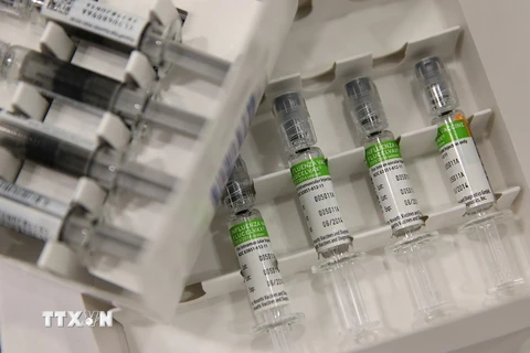 Vắcxin ngừa virus cúm A/H1N1. (Nguồn: AFP/TTXVN)