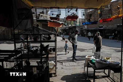  Cảnh yên bình trên một con phố ở Douma, ngoại ô phía đông thủ đô Damascus ngày 6/5, sau khi thỏa thuận thiết lập vùng an toàn có hiệu lực. (Nguồn: AFP/TTXVN)
