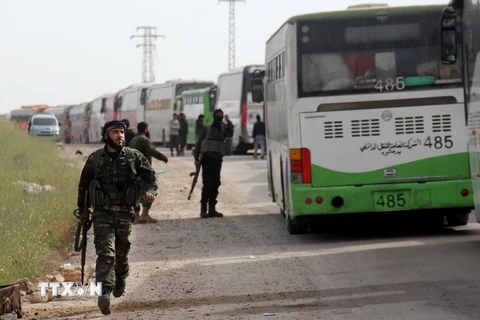  Xe buýt chở các tay súng đối lập từ thị trấn Fuaa và Kafraya, tới trạm trung chuyển Rashidin, ngoại ô thành phố Aleppo do Chính phủ kiểm soát ngày 21/4. (Nguồn: AFP/TTXVN)