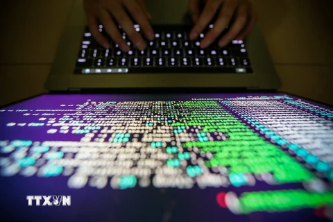 Một lập trình viên nỗ lực giải mã độc trong vụ tấn công mạng ở Đài Bắc, Đài Loan (Trung Quốc) ngày 13/5. (Nguồn: EPA/TTXVN)