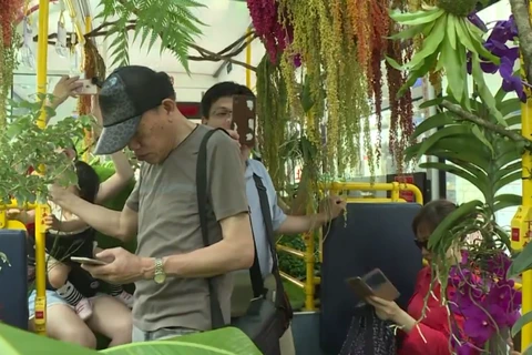 [Video] Trải nghiệm xe buýt 'rừng xanh' độc đáo ở Đài Loan