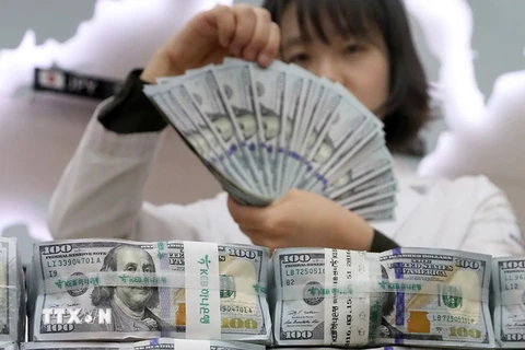 Nhân viên kiểm đồng USD tại trụ sở của ngân hàng KEB Hana ở Seoul, Hàn Quốc ngày 4/5. (Nguồn: YONHAP/TTXVN)