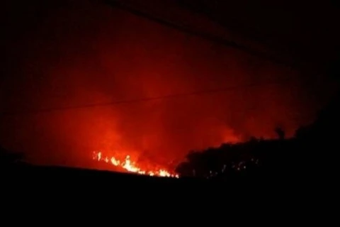 Hỏa hoạn cực lớn thiêu rụi nhiều diện tích rừng phòng hộ Sóc Sơn