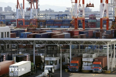 Bốc dỡ côngtenơ hàng hóa tại cảng Tokyo, Nhật Bản ngày 25/1. (Nguồn: EPA/TTXVN)