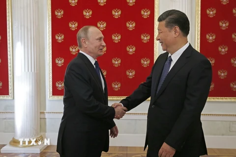  Tổng thống Nga Vladimir Putin (trái) và Chủ tịch Trung Quốc Tập Cận Bình (phải) tại cuộc gặp ở Moskva ngày 3/7. (Nguồn: AFP/TTXVN)