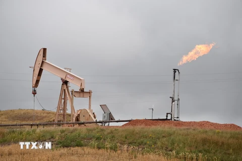 Một cơ sở lọc dầu gần Williston, Bắc Dakota (Mỹ). (Nguồn: AFP/TTXVN)