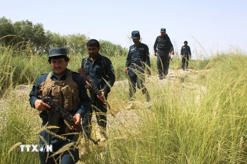 Lực lượng an ninh Afghanistan trong chiến dịch chống phiến quân tại quận Nawa, tỉnh Helmald ngày 9/7. (Nguồn: THX/TTXVN)