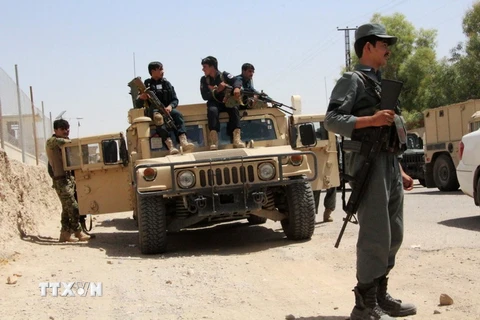 Binh sỹ Afghanistan trong chiến dịch truy quét phiến quân Taliban tại tỉnh Helmand ngày 22/7. (Nguồn: AFP/TTXVN)