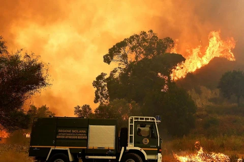 Các đợt cháy rừng đã lan rộng khắp Nam Âu, bao gồm cả Sicily, trong tháng 7. (Nguồn: AFP/Getty)