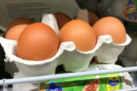 [Video] Pháp đã tiêu thụ 200.000 quả trứng nhiễm độc Fipronil