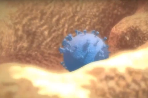[Videographics] Virus HIV tấn công cơ thể người ra sao? 