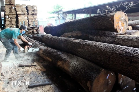 Chế biến gỗ tại Công ty Cổ phần Tân Vĩnh Cửu (Đồng Nai). (Ảnh: Thanh Vũ/TTXVN)