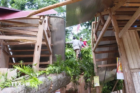 Cây xanh đổ vào nhà dân trong một trận dông lốc tại Lào Cai. Ảnh minh họa. (Nguồn: TTXVN)