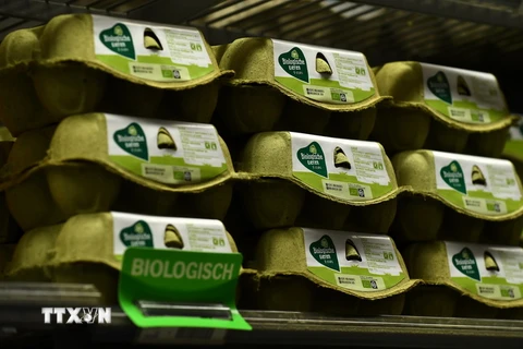 Trứng bày bán tại siêu thị ở Alkmaar, Hà Lan ngày 8/8. (Nguồn: AFP/TTXVN)
