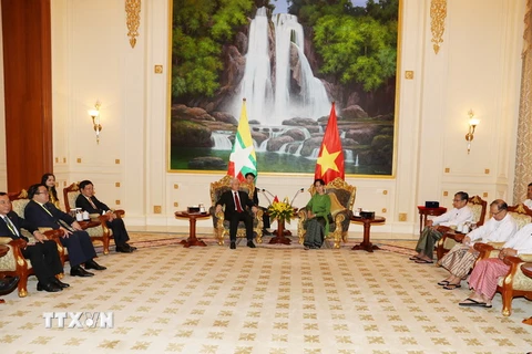 Tổng Bí thư Nguyễn Phú Trọng hội kiến với Cố vấn Nhà nước, Bộ trưởng Ngoại giao Myanmar, bà Aung San Suu Kyi. (Ảnh: Trí Dũng/TTXVN)