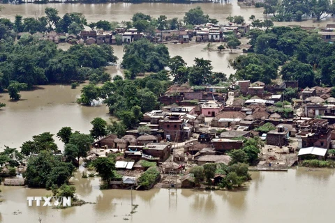 Cảnh ngập lụt tại Champara, bang Bihar, Ấn Độ ngày 18/8. (Nguồn: THX/TTXVN)