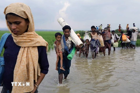 Người Myanmar ở bang Rakhine rời bỏ nhà cửa tránh xung đột tới khu vực biên giới gần thị trấn Teknaf, Bangladesh ngày 5/9. (AFP/TTXVN)