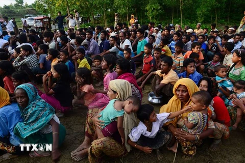  Người tị nạn Rohingya chờ hàng cứu trợ ở khu trại tị nạn Kutupalong tại Ukhiya, Bangladesh ngày 8/9. (Nguồn: AFP/TTXVN)