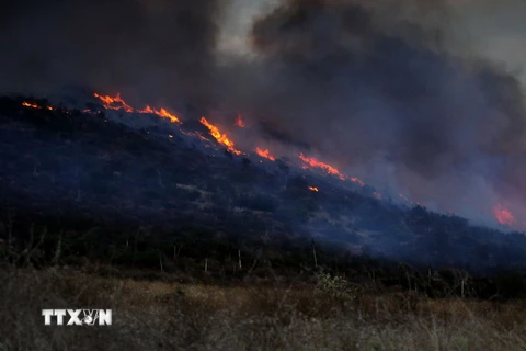 Khói lửa bốc lên từ đám cháy rừng ở Ensenada, bang Baja California, Mexico ngày 2/9. (Nguồn: EPA/TTXVN)