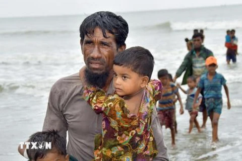 Người Hồi giáo Rohingya vượt biên sang Bangladesh lánh nạn do tình trạng bạo lực tại bang Rakhine ngày 8/9. (Nguồn: Kyodo/TTXVN)