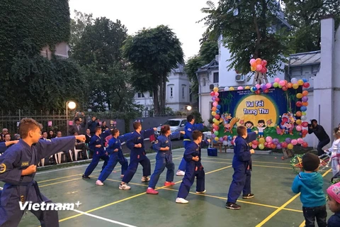 Các võ sỹ trẻ tuổi người Romania biểu diễn Vovinam. (Nguồn: Đại sứ quán Việt Nam tại Romania)