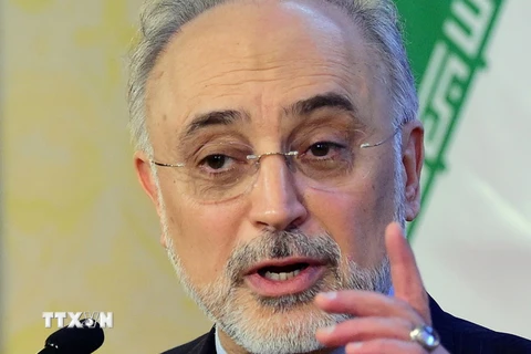 Giám đốc cơ quan hạt nhân của Iran, ông Ali Akbar Salehi. (Nguồn: AFP/TTXVN)