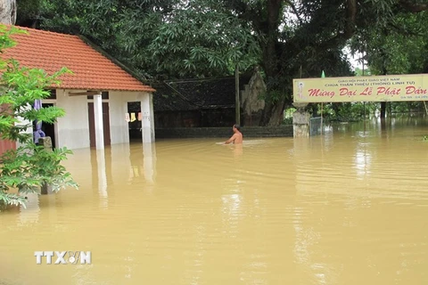 Tình trạng ngập lụt tại Ninh Bình sẽ giảm dần. (Ảnh: Thùy Dung/TTXVN)