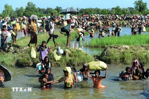Người tị nạn Rohingya tới khu vực Palongkhali, gần Ukhia, Bangladesh ngày 16/10 sau khi sơ tán khỏi Myanmar. (Nguồn: AFP/TTXVN)