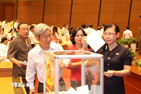 Các đại biểu Quốc hội bỏ phiếu kín. (Ảnh: Trọng Đức/TTXVN)