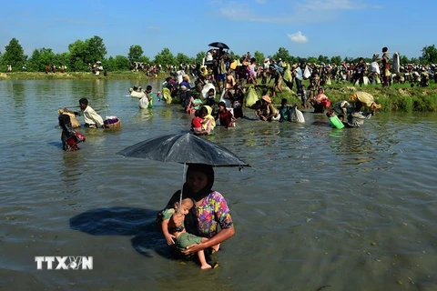 Người tị nạn Rohingya tới khu vực Palongkhali, gần Ukhia, Bangladesh ngày 16/10, sau khi sơ tán khỏi bang Rakhine của Myanmar. (Nguồn: AFP/TTXVN)