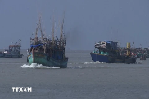 Tàu thuyền đánh bắt thủy hải sản đang di chuyển vào trú bão tại cửa biển Nhà Mát, thành phố Bạc Liêu. (Ảnh: Huỳnh Sử/TTXVN)