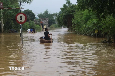Ngập lụt tại Thạch Định, huyện Thạch Thành ngày 13/10. (Ảnh: Khiếu Tư/TTXVN)