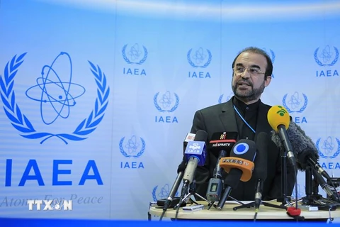 Đại sứ Iran tại IAEA Reza Najafi. (Nguồn: AFP/TTXVN)