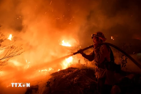 Nhân viên cứu hỏa dập lửa cháy rừng tại Santa Paula, Ventura, Mỹ ngày 5/12. (Nguồn: THX/TTXVN)