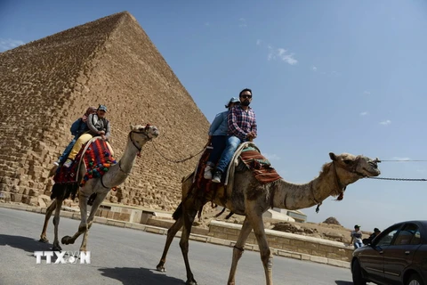 Du khách tham quan Kim Tự Tháp Giza. (Nguồn: EPA/TTXVN)