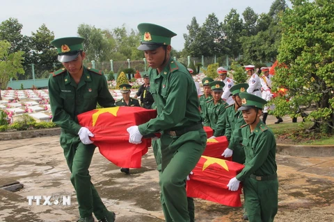 Ảnh minh họa. (Nguồn: Bùi Như Trường Giang/TTXVN)