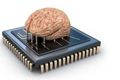 Khám phá ra cách thức giúp máy tính vận hành như não người