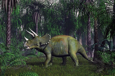 Loài khủng long Triceratop 3 sừng đã bị tuyệt chủng. (Nguồn: fineartamerica.com)
